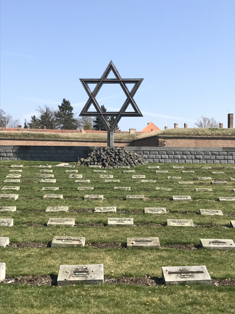 OGNI GIORNO E' IL 27 GENNAIO 1 IMG 7110